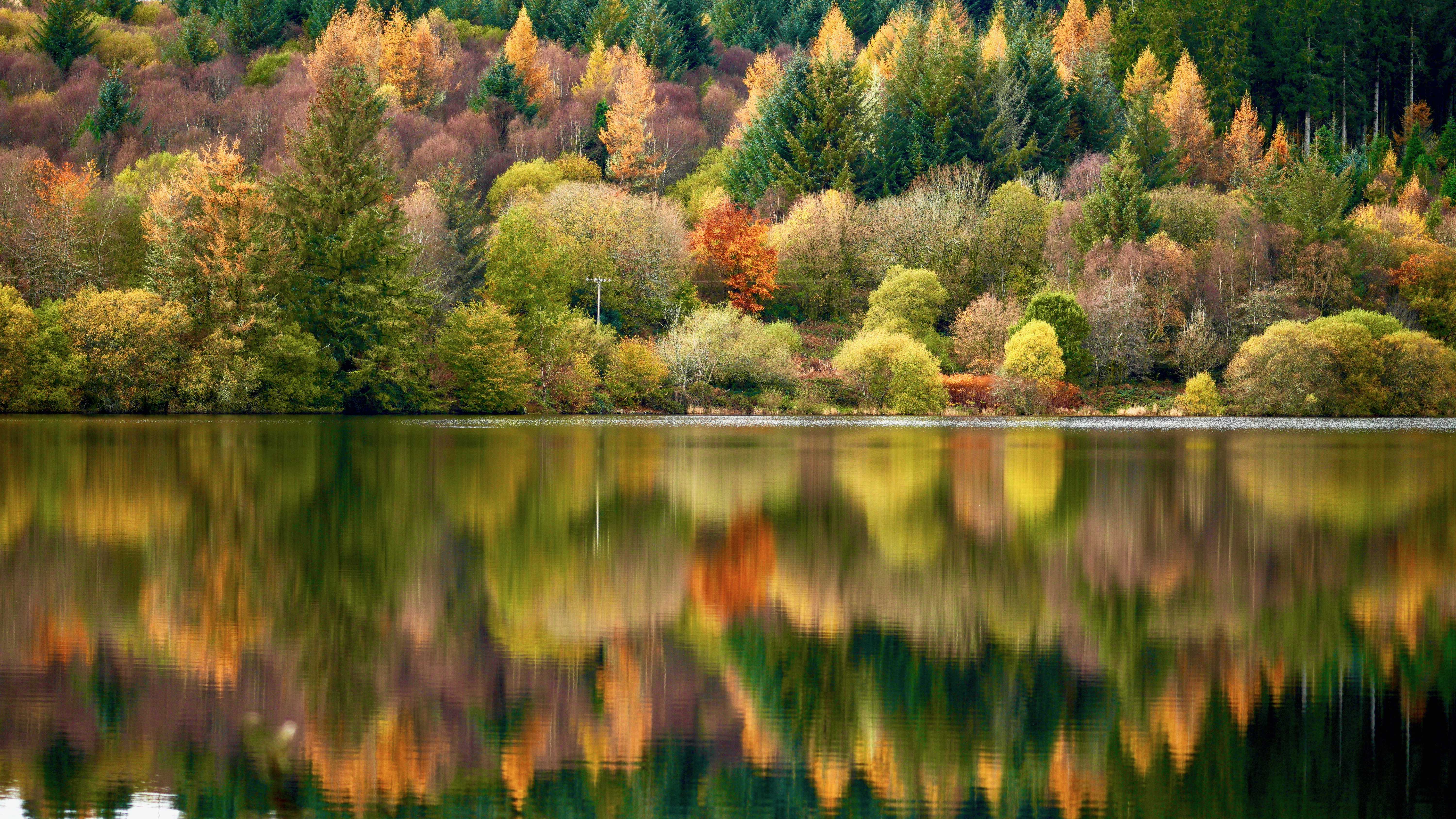 Autumn woodland reflected in Llwyn Onn Reservoir