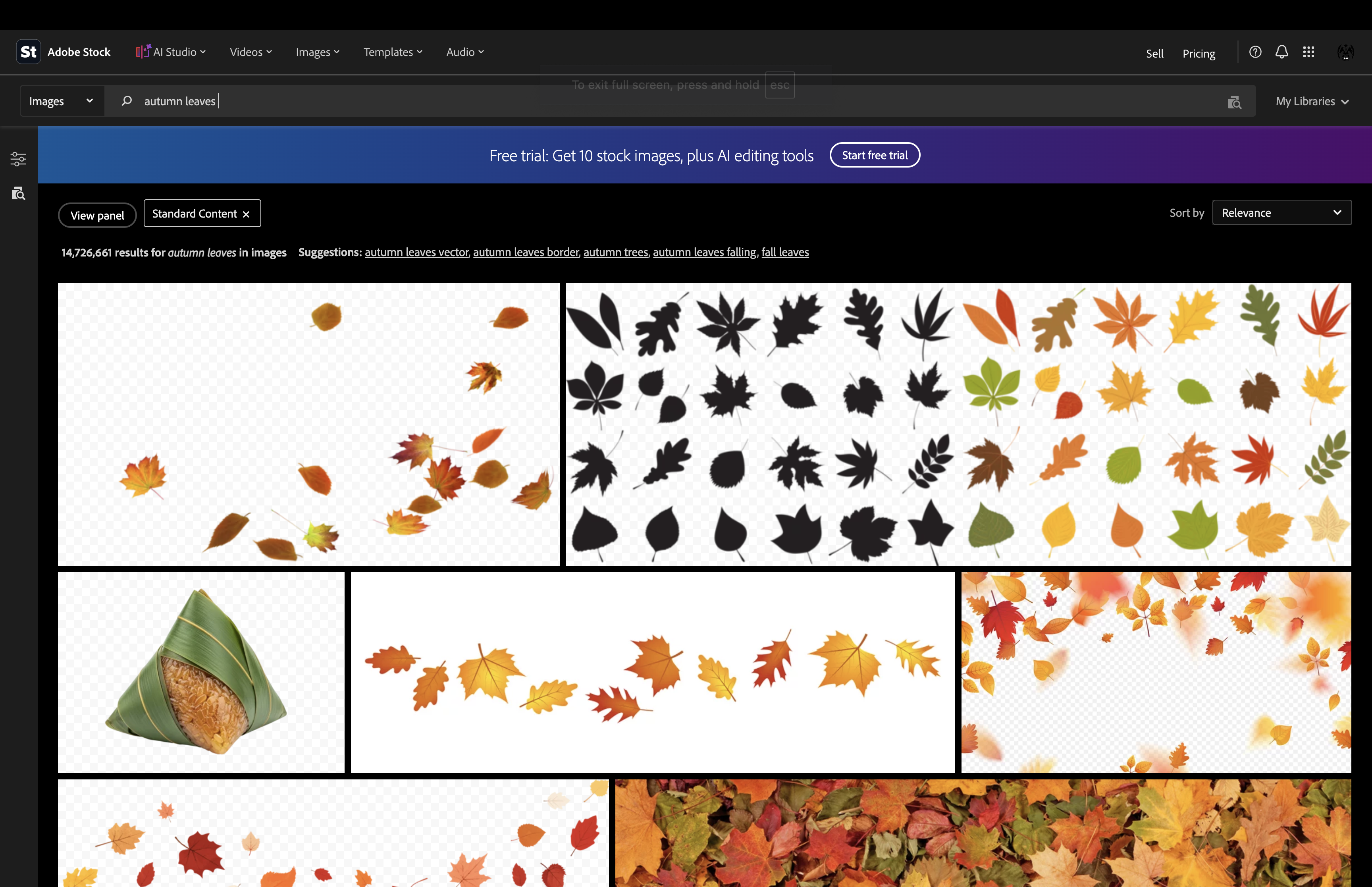 Adobe Stock search results for autumn leaves