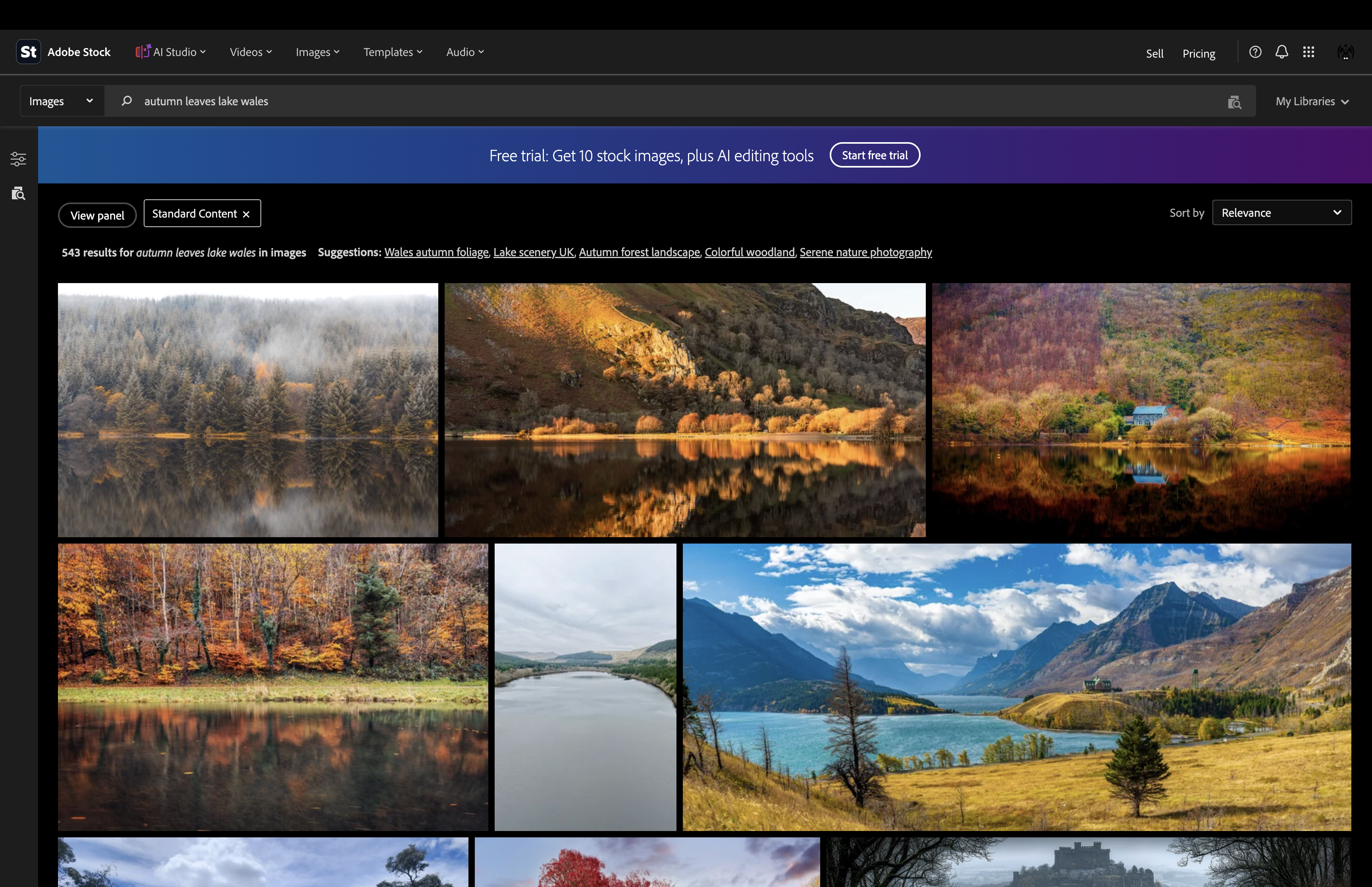 Adobe Stock search results for autumn leaves by a lake in Wales