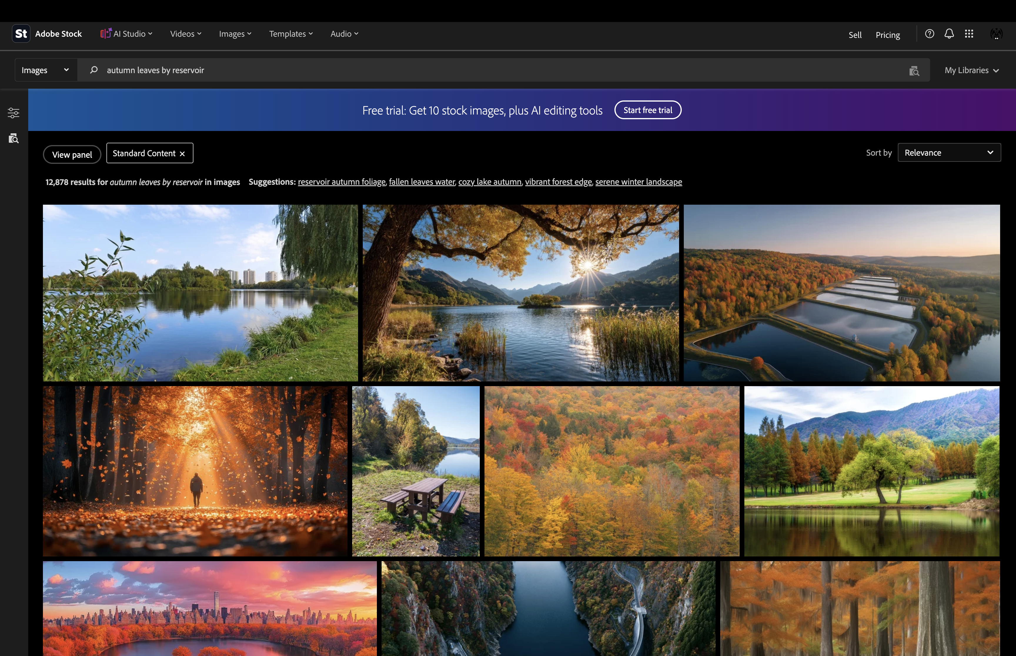 Adobe Stock search results for autumn leaves by a reservoir