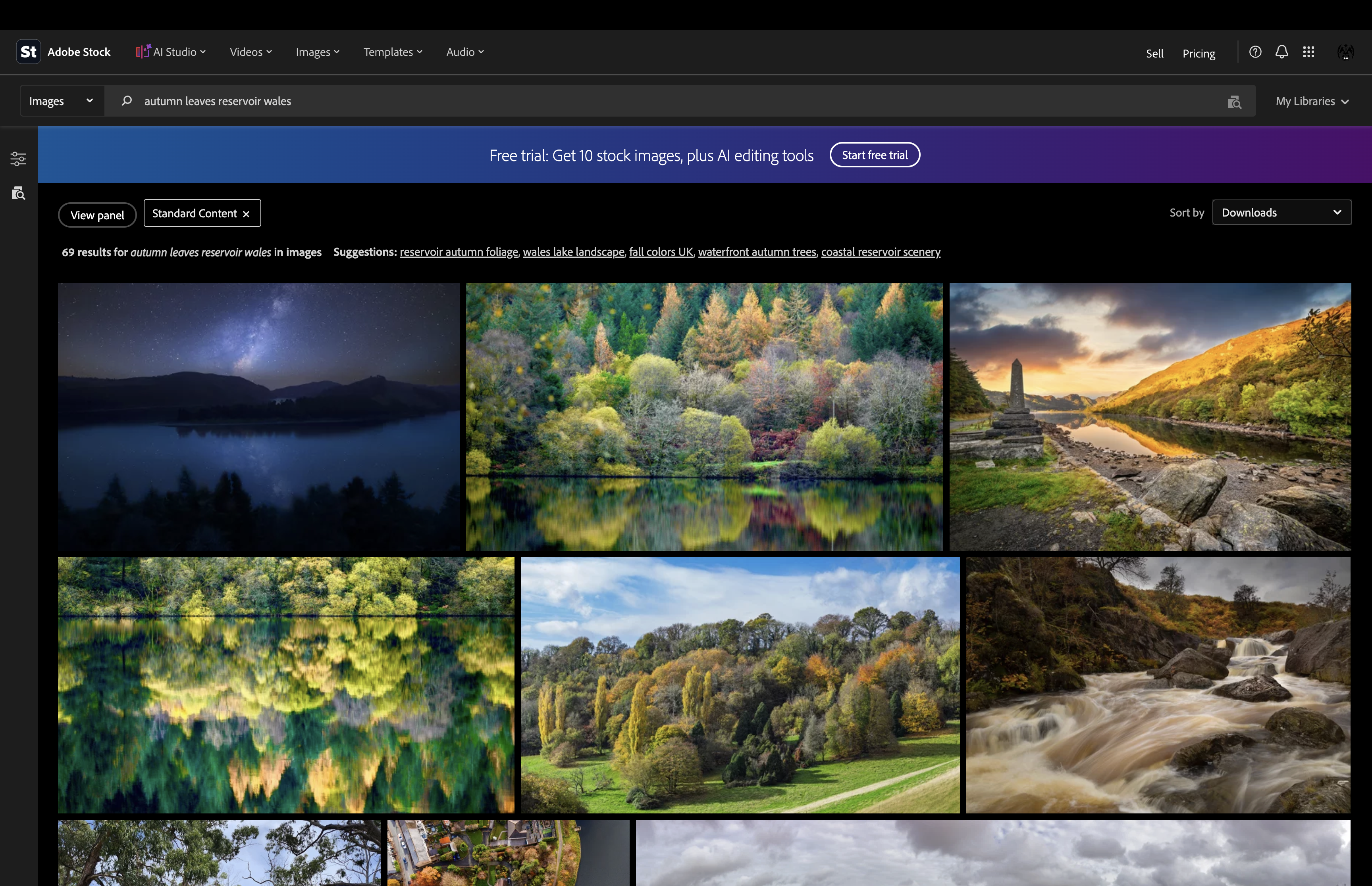 Adobe Stock search results for autumn leaves by a reservoir in Wales