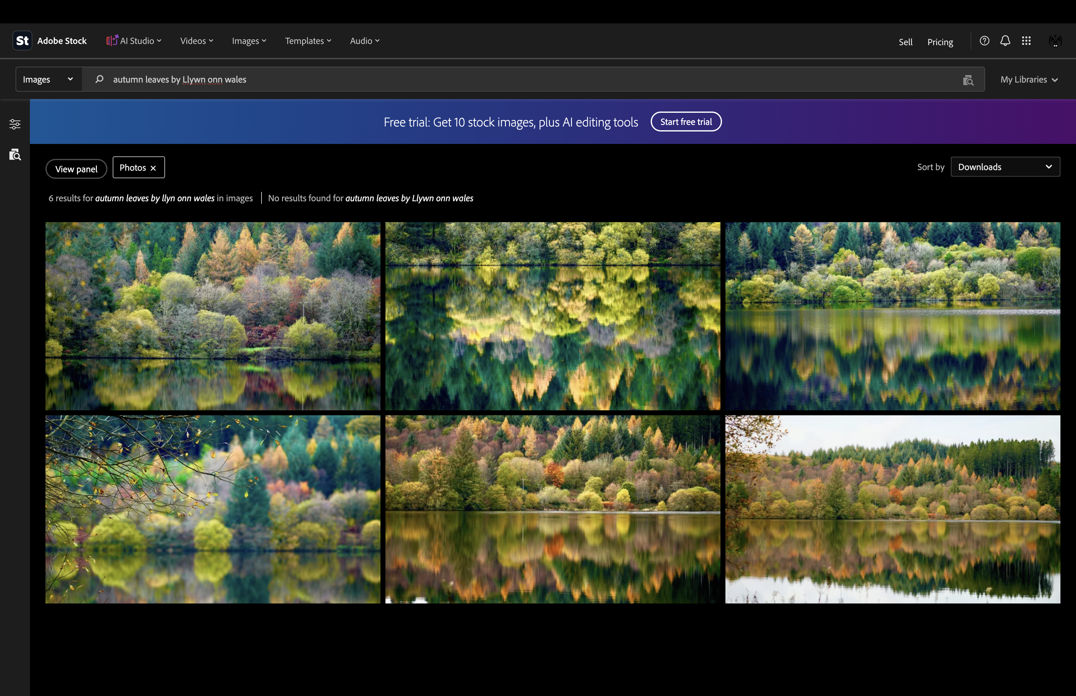 Adobe Stock search results for autumn leaves at Llwyn Onn in Wales