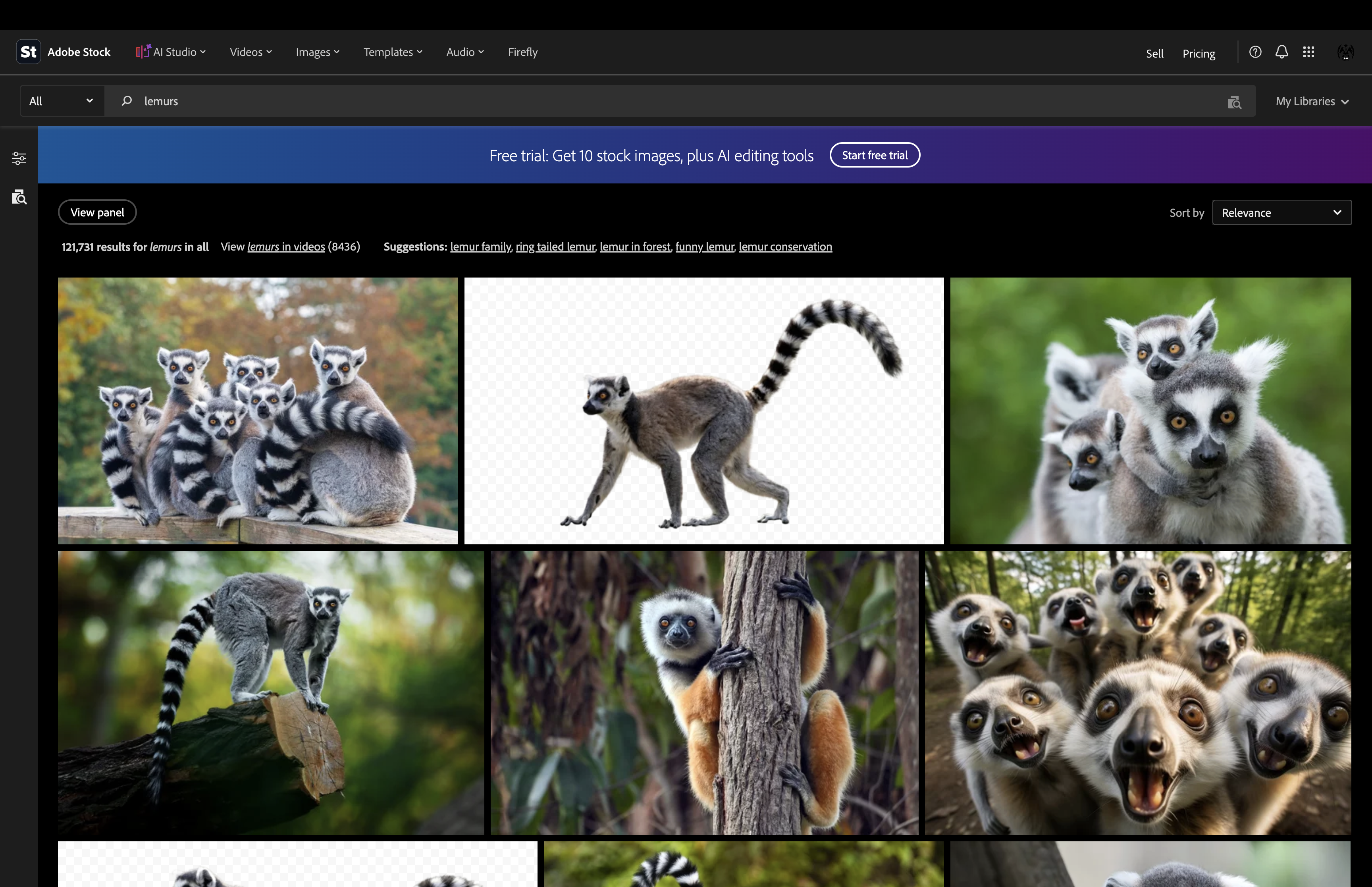 Lemur stock search example.