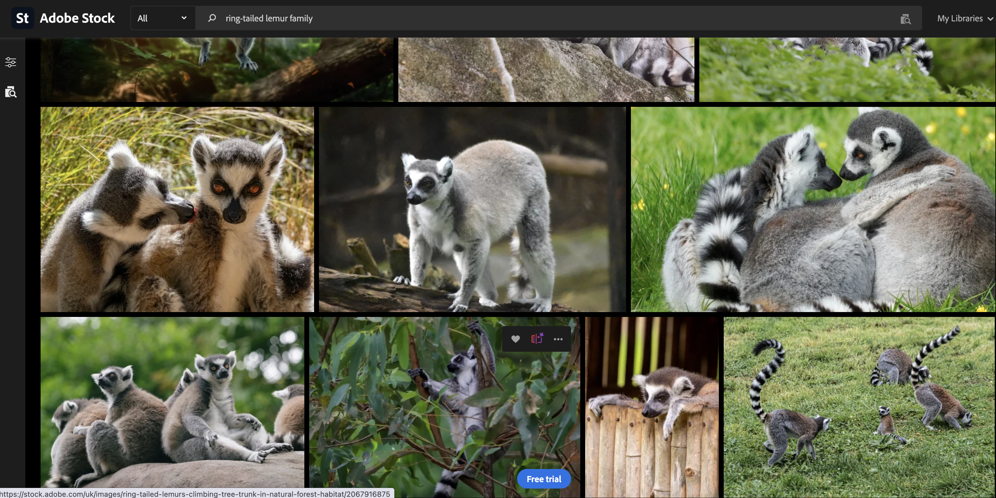 Family stock search example.