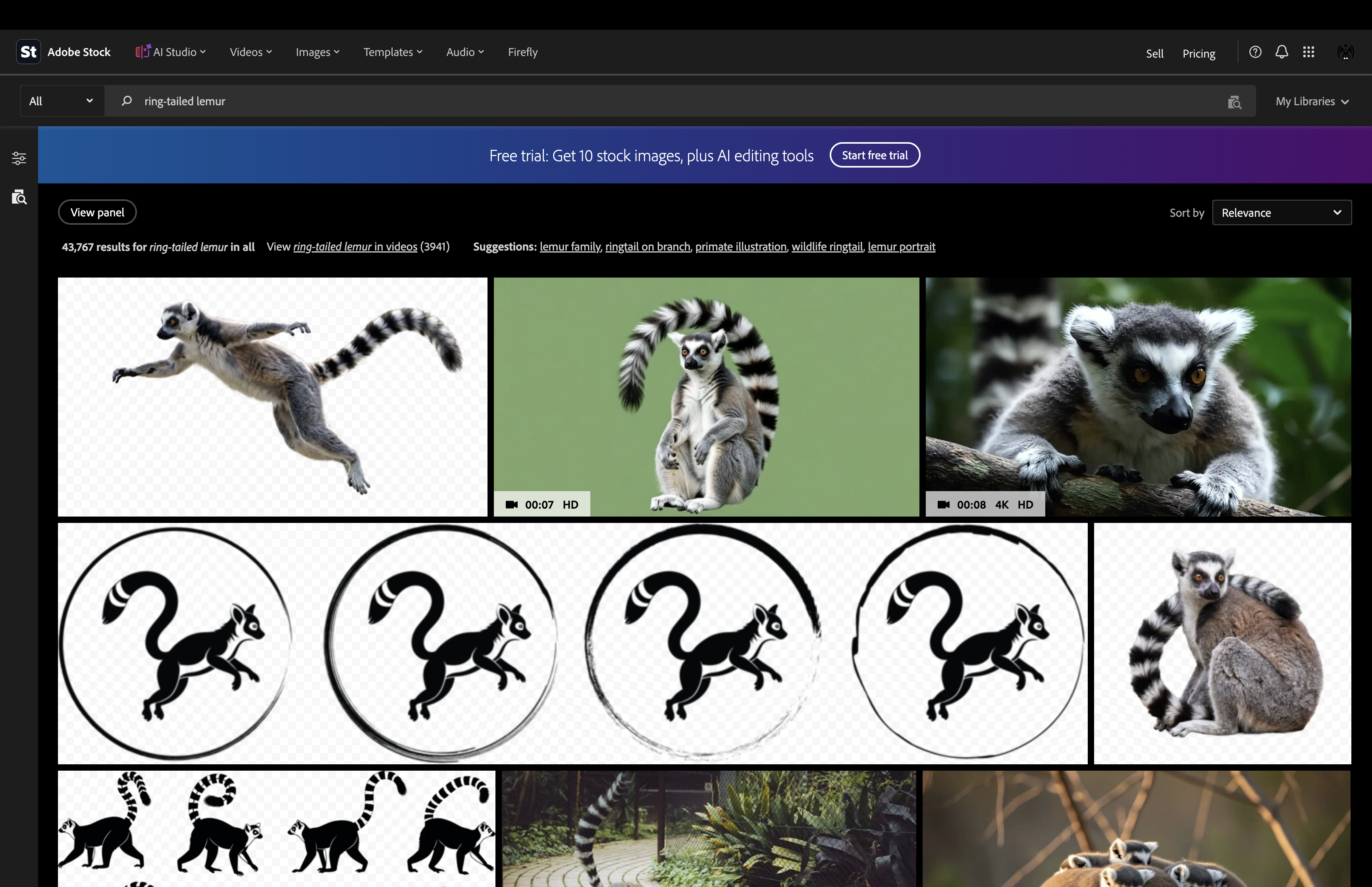 Ring-tailed lemur stock search example.