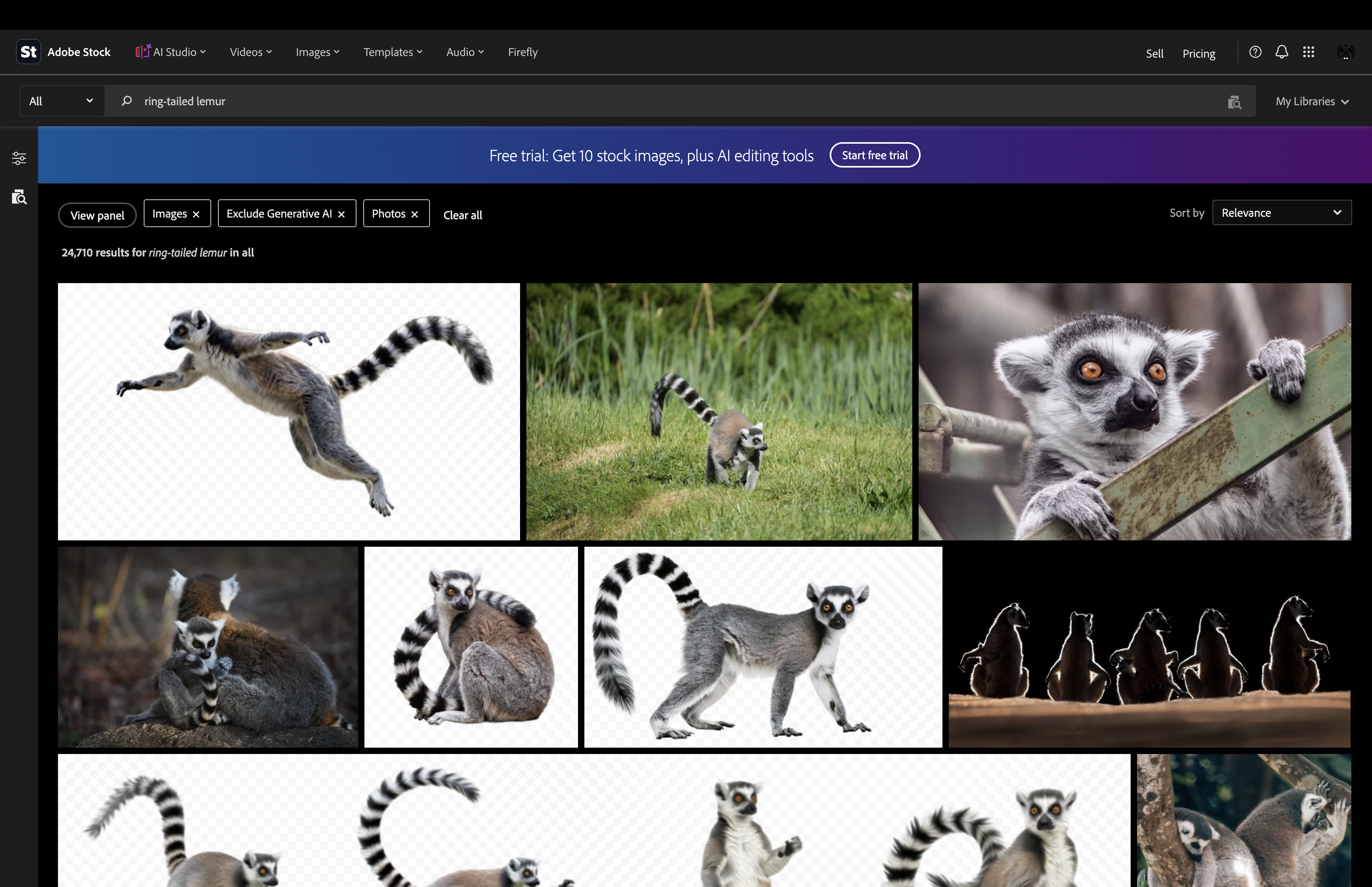 Exclude generative AI stock search example.